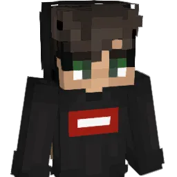 Bausuchti Minecraft avatar bust