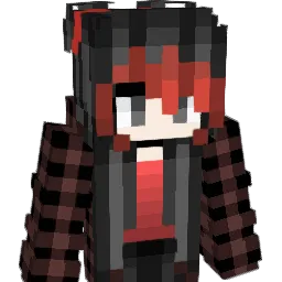 BayMax207 Minecraft avatar bust