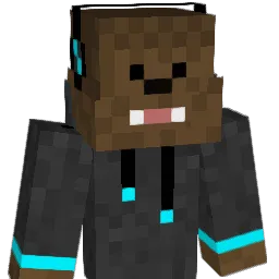 Bcbbb1's Minecraft skin