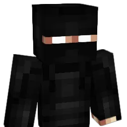 Bctyz01 Minecraft avatar bust