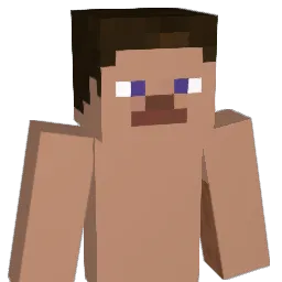 Bdub32510 Minecraft avatar bust