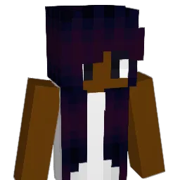 Bdub325 Minecraft avatar bust