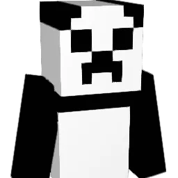 BeSurprised's Minecraft skin
