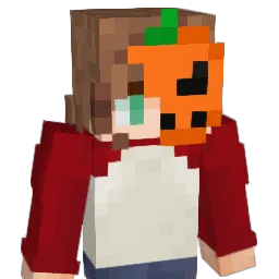 BeachWaves1111 Minecraft avatar bust