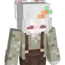Minecraft-Avatar von Beans2389: Büste
