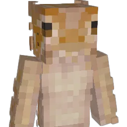 BeardedDragons