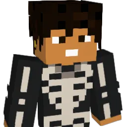 BebaH20 Minecraft avatar bust
