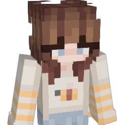 Bee2127's Minecraft skin
