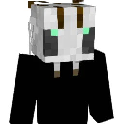 BeeGhost00 Minecraft avatar bust