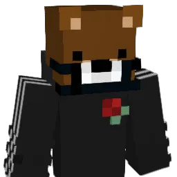 BeeIsWashed Minecraft avatar bust