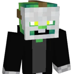 BeefyRaccoon Minecraft avatar bust