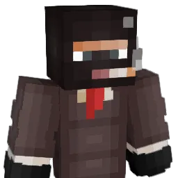 Beekois Minecraft avatar bust