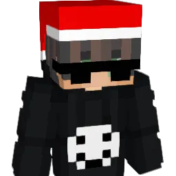 Been16 Minecraft avatar bust
