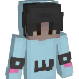 Beesain's Minecraft skin