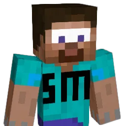 Beevis690 Minecraft avatar bust