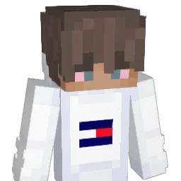 BefKikker Minecraft avatar bust