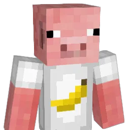 BeinHarrte Minecraft avatar bust