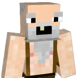 BejTotalny Minecraft avatar bust