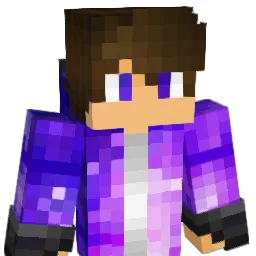 BenJ_0815 Minecraft avatar bust