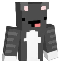 Bengalsforlife Minecraft avatar bust
