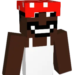 BenjaminPavlon Minecraft avatar bust