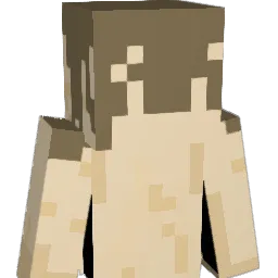 Bennepi Minecraft avatar bust