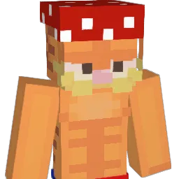 BermudaBlitz Minecraft avatar bust