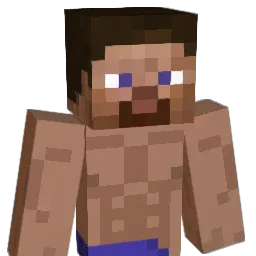 BhaiAnorr Minecraft avatar bust