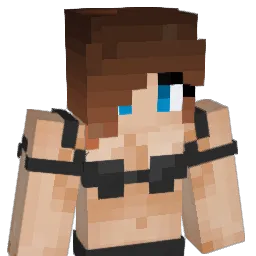 BiGBruh34 Minecraft avatar bust