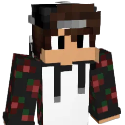 BiMbAm05 Minecraft avatar bust