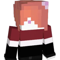 Bibii991 Minecraft avatar bust