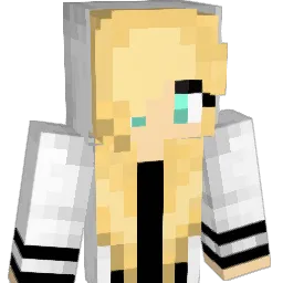 Bichon2004 Minecraft avatar bust