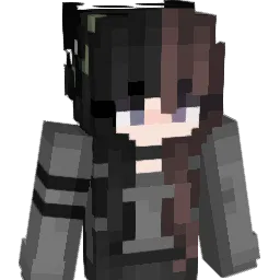 BidPlu55's Minecraft skin