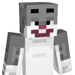 BigChunguslol Minecraft avatar bust