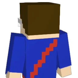 BigCountry2008 Minecraft avatar bust