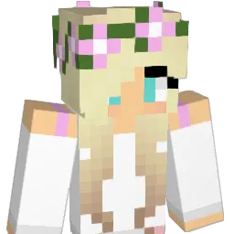 BigbirdMedSwag Minecraft avatar bust