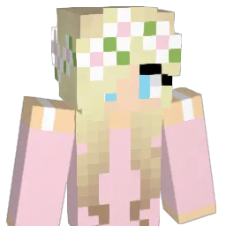 Biggest_NiBBa Minecraft avatar bust