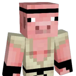 Bigt993 Minecraft avatar bust