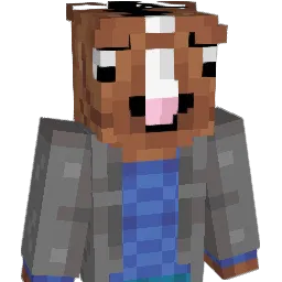 Bilboswagginz101 Minecraft avatar bust