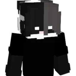 Billzintx Minecraft avatar bust