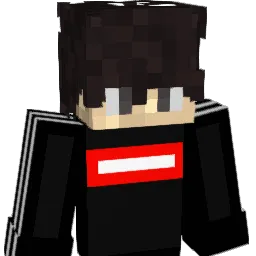 Bim_Der_Ali Minecraft avatar bust