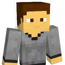 Bimek_ Minecraft avatar bust