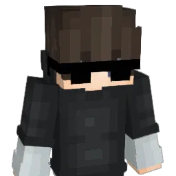BinBeschaeftigt Minecraft avatar bust