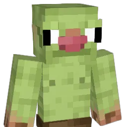 BinasXD Minecraft avatar bust