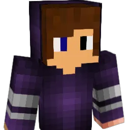 Bineac2 Minecraft avatar bust