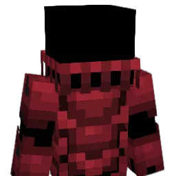 Bingre_07 Minecraft avatar bust