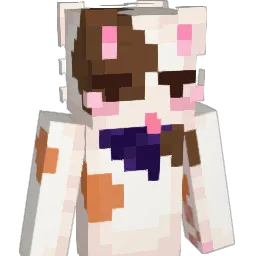 Binx_20's Minecraft skin