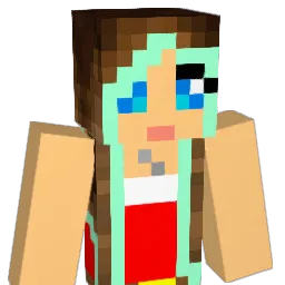 Bir456 Minecraft avatar bust