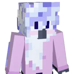 Birbbirbbirb2 Minecraft avatar bust