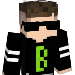 BirdGames's Minecraft skin